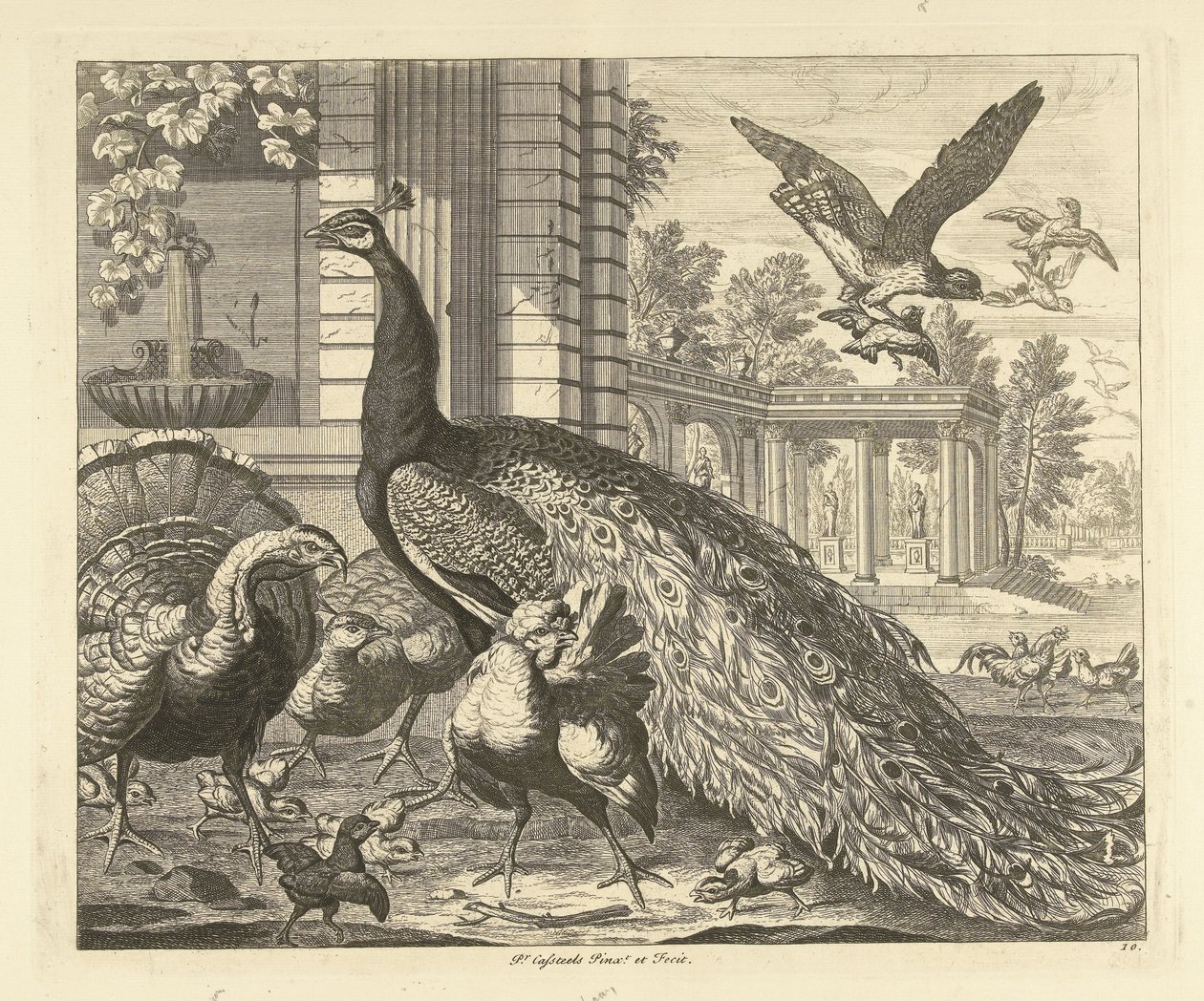 Bir bahçe sütununda tavus kuşu ve hindi Farklı kuşlar (dizi başlığı) by Peter Casteels (III)