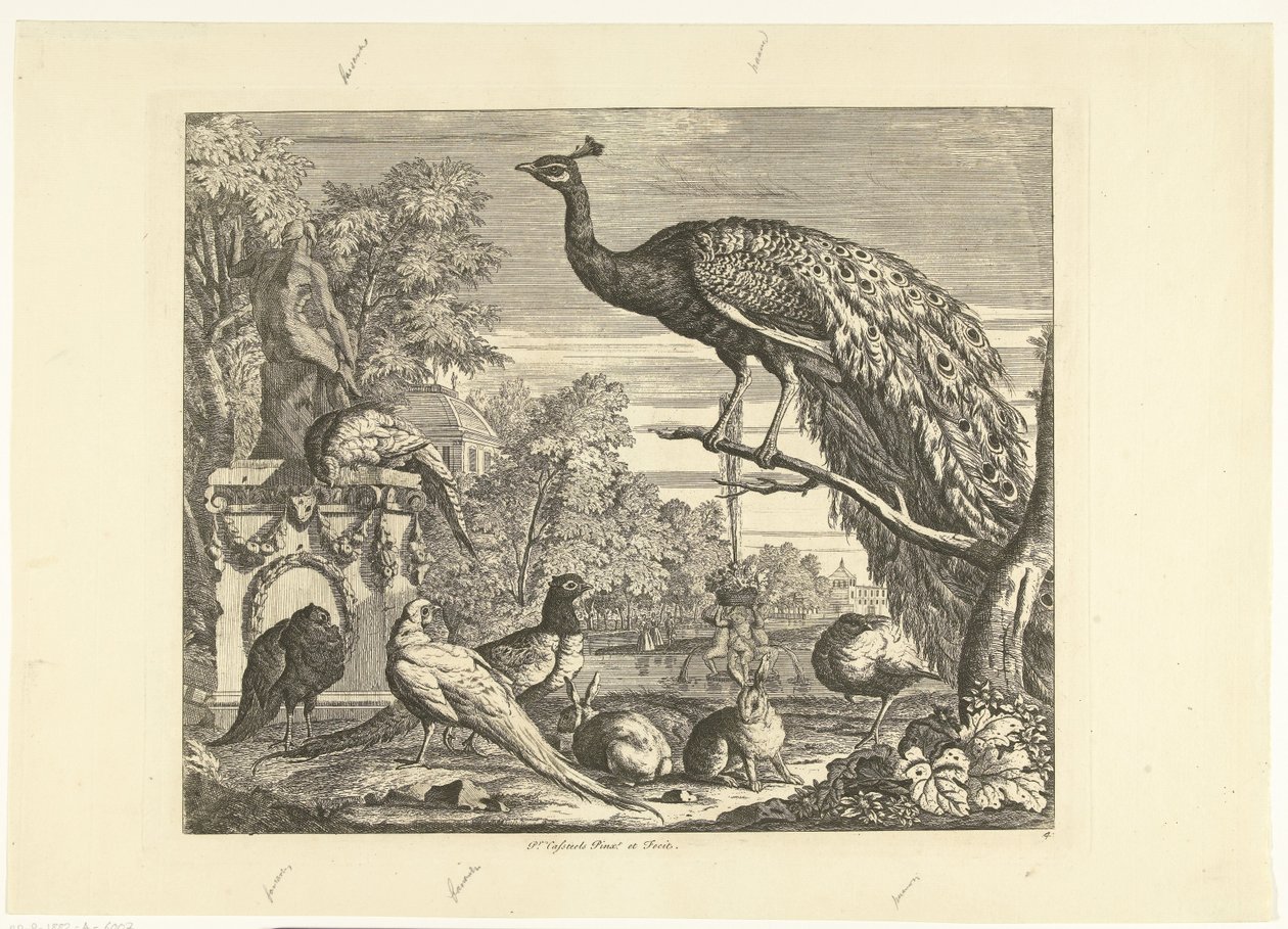 Bir bahçe çeşmesinde tavus kuşu, tavşanlar ve diğer kuşlar Farklı kuşlar (dizi başlığı) by Peter Casteels (III)
