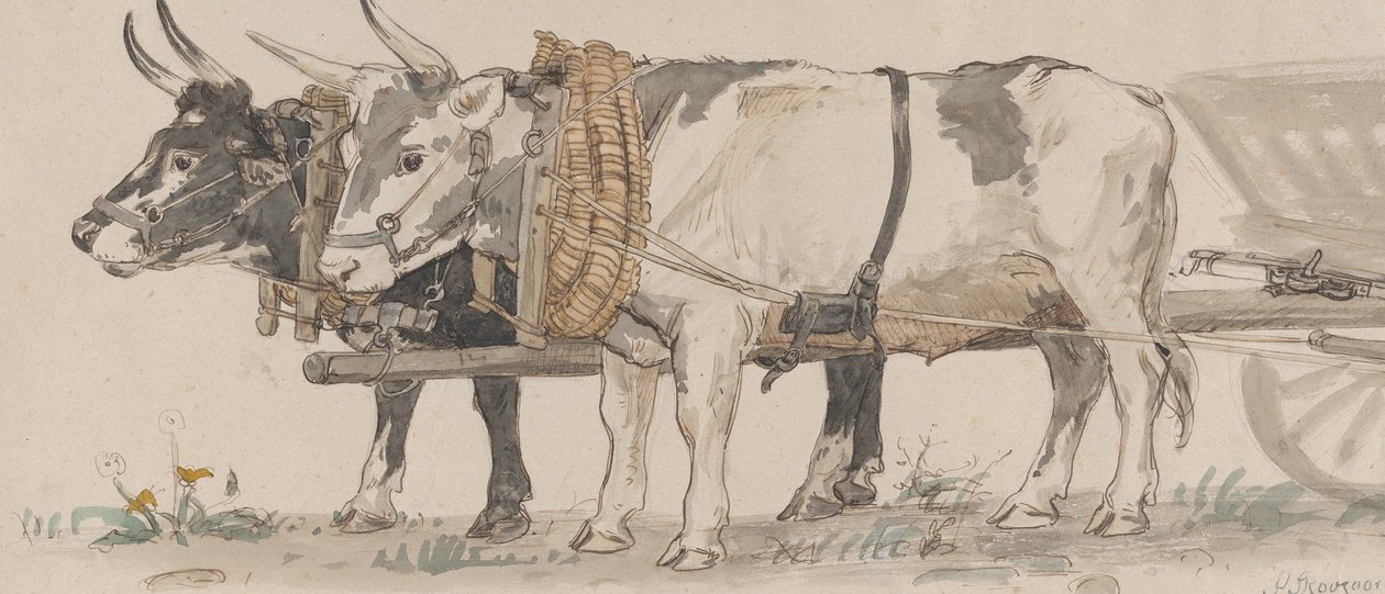 Arabayı Çeken İki Öküz, 1874. by Peter Christian Thamsen Skovgaard