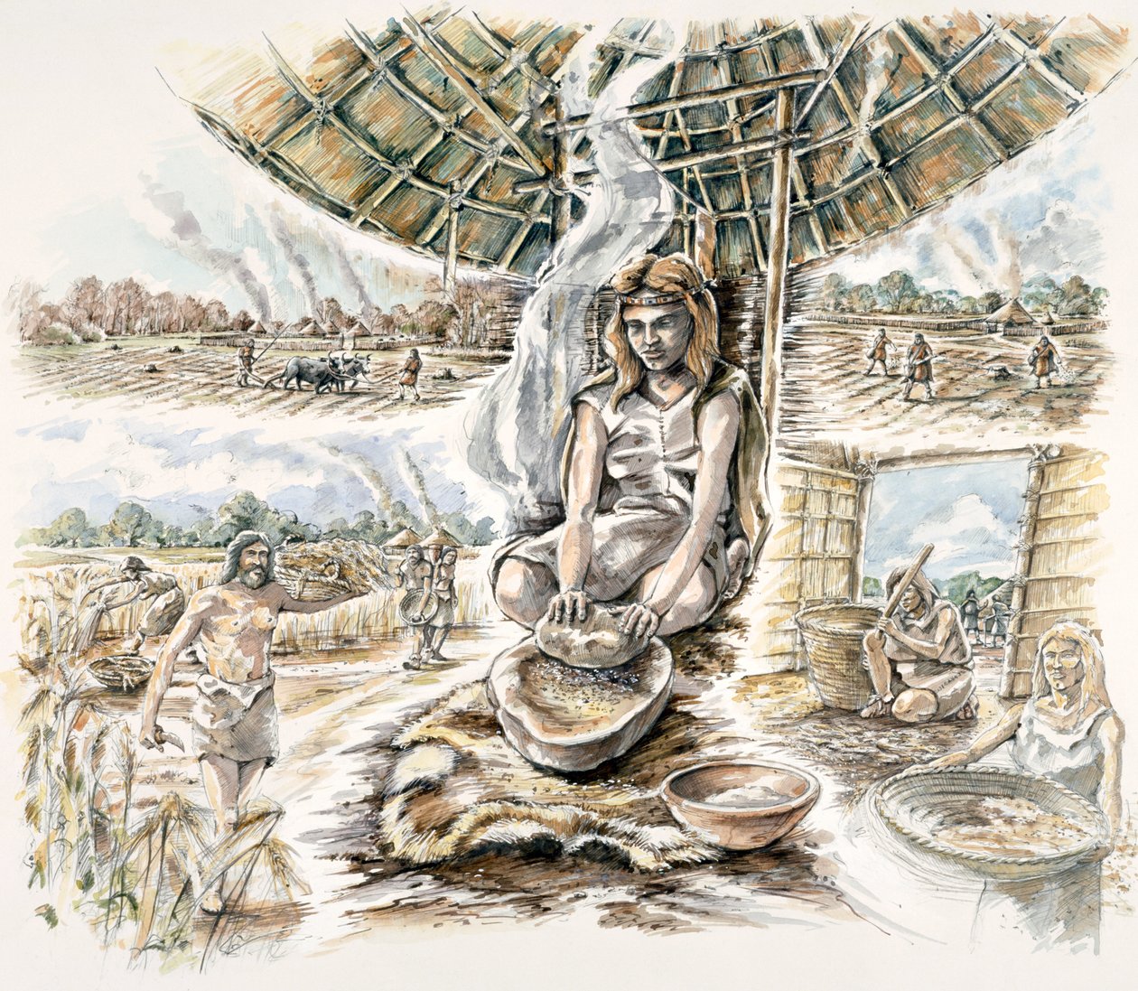 Neolitik Tahıl Üretimi, c1990-2010 by Peter Dunn