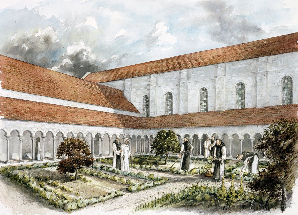 Rievaulx Manastırı, 13. yüzyıl ortası, 1990-2010 by Peter Dunn
