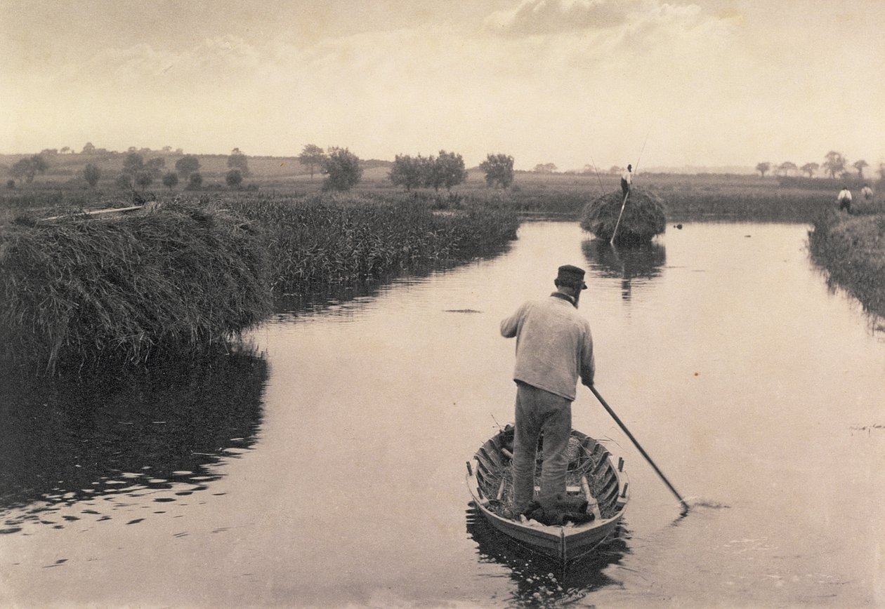 ನಾರ್ಫೋಕ್ ಬ್ರಾಡ್ಸ್, c.1886 ಟರ್ಕ್‌ನಲ್ಲಿ ಮಾರ್ಷ್ ಹೇ, ಲೈಫ್ ಅಂಡ್ ಲ್ಯಾಂಡ್‌ಸ್ಕೇಪ್ ಅನ್ನು ಕ್ವಾರ್ಟರ್ ಮಾಡುವುದು by Peter Emerson und Thomas Goodall