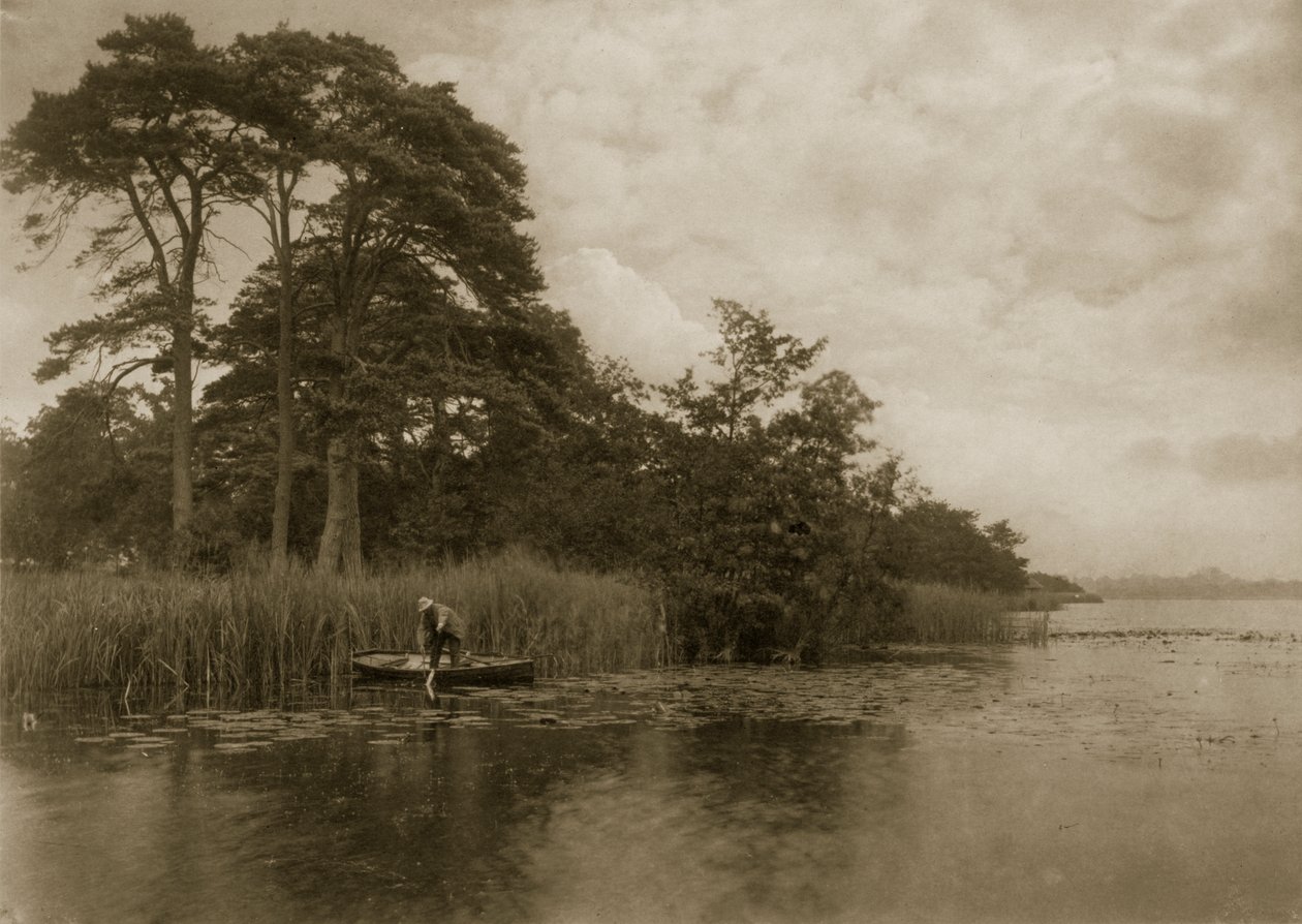 Turna Perisi, 1886 dolayları by Peter Emerson und Thomas Goodall