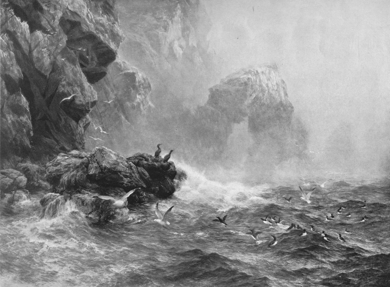Hiçbir Şeyin Duyulmadığı, Dalgaların Bağlandığı ve Deniz Kuşlarının Ağladığı Yer, c1880, 1912 by Peter Graham