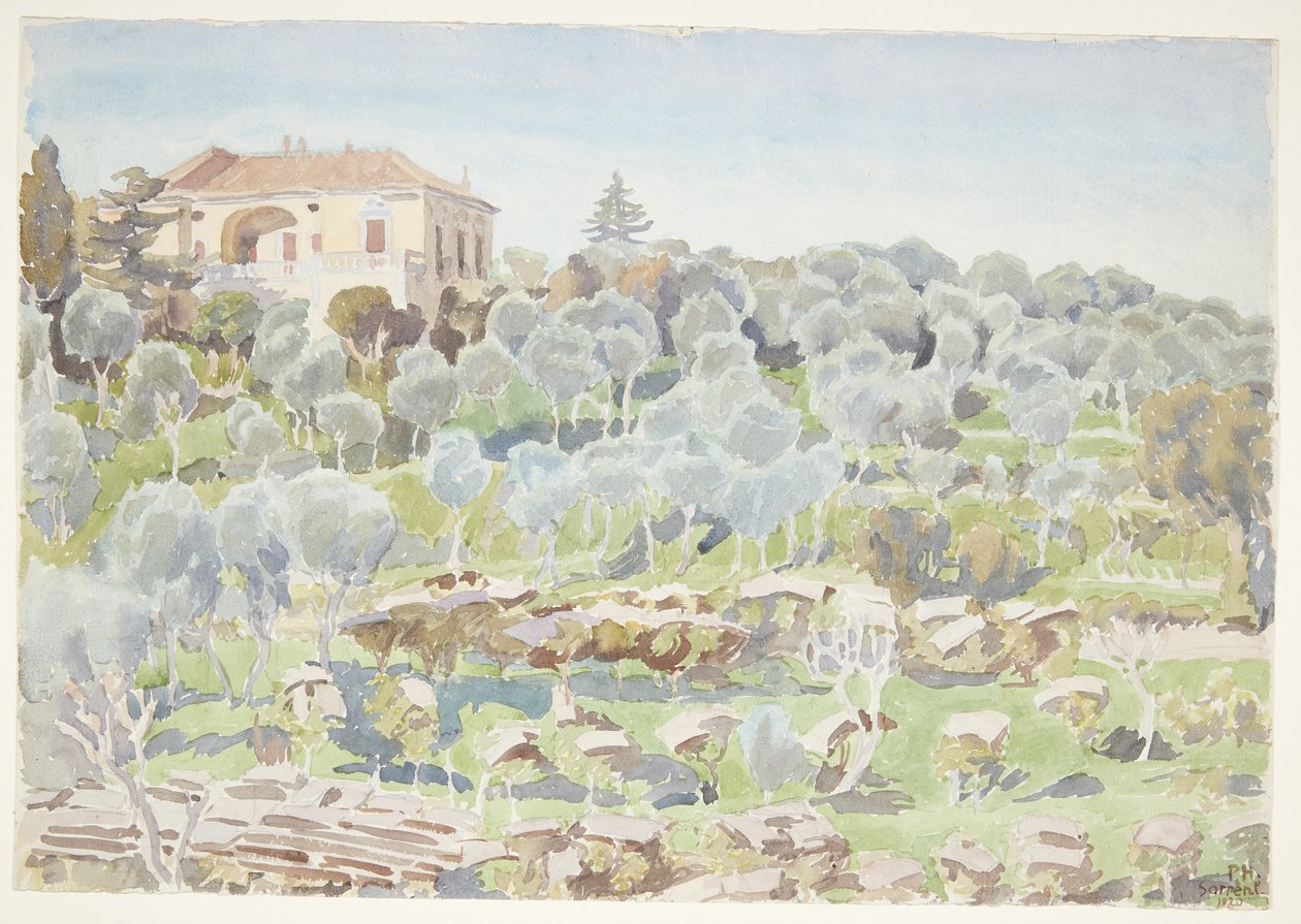 Zeytin ağaçları ve bir villa ile dağ yamacı by Peter Hansen