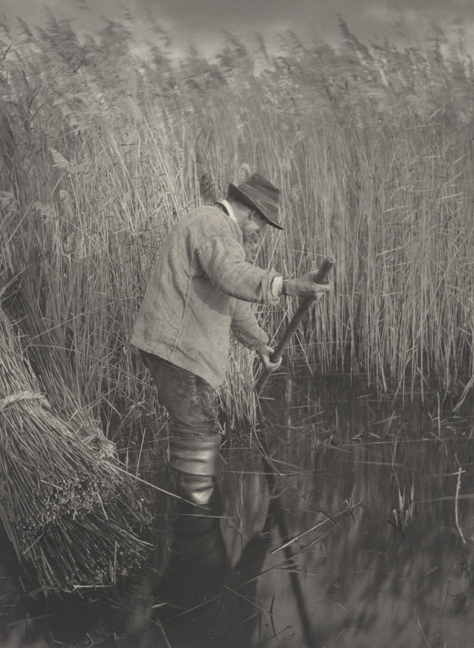 A Reed-Cutter İş Başında, 1886. Yaratıcılar: Dr Peter Henry Emerson, Thomas Frederick Goodall. by Peter Henry Emerson, Thomas Frederick Goodall