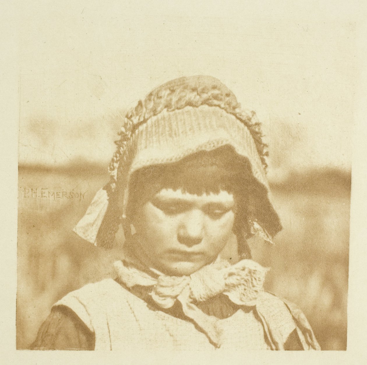 Norfolk Çiçeği by Peter Henry Emerson