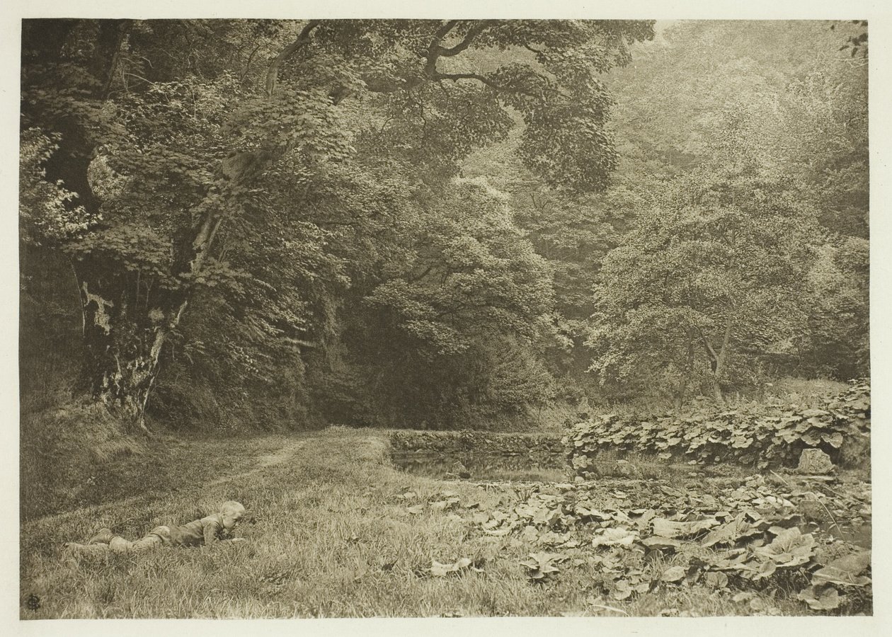  by Peter Henry Emerson