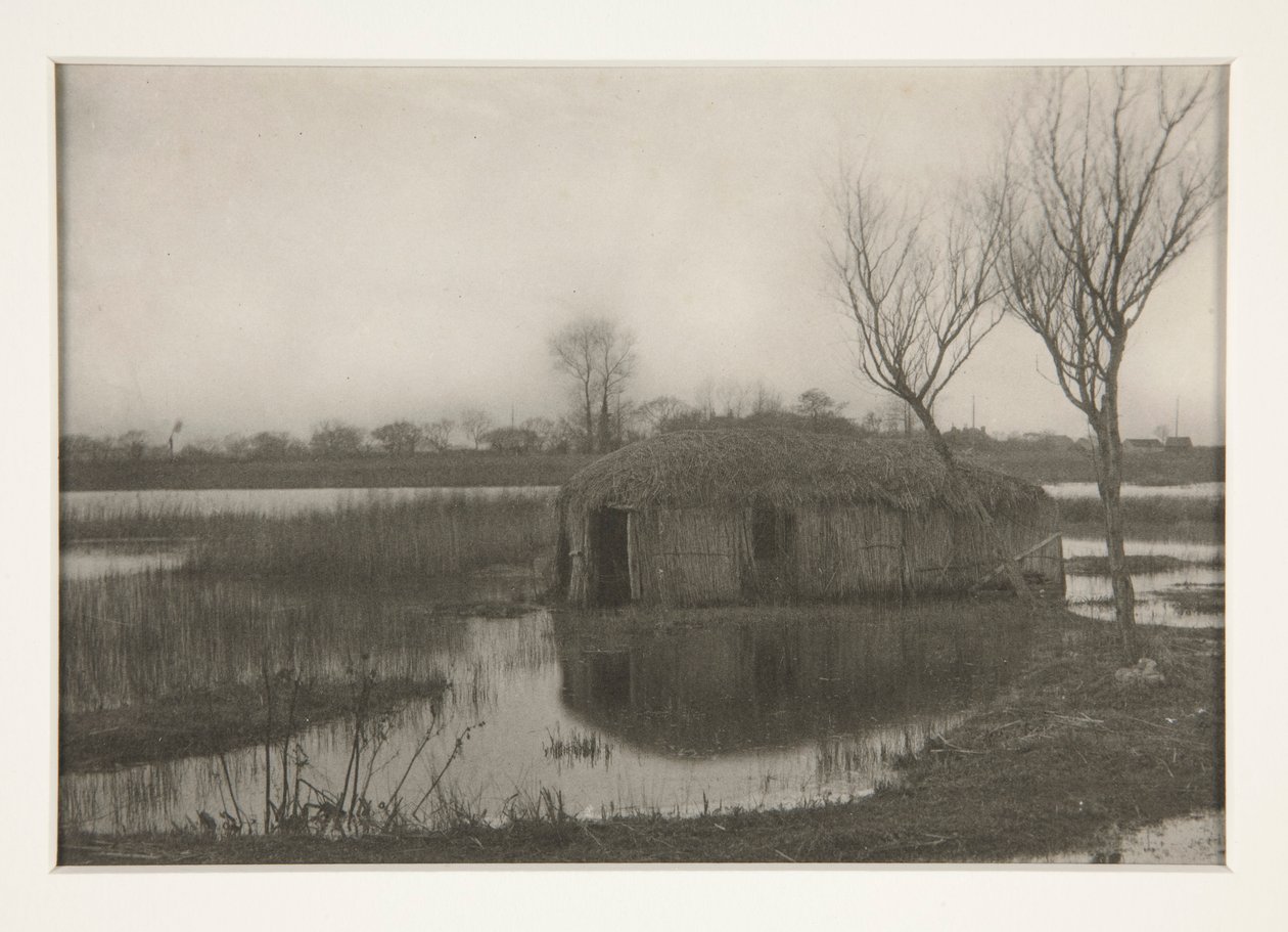Bir Kamış Kayık Evi, Norfolk Panolarında Yaşam ve Peyzaj