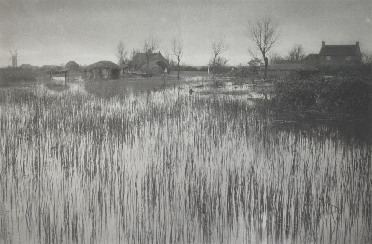  by Peter Henry Emerson