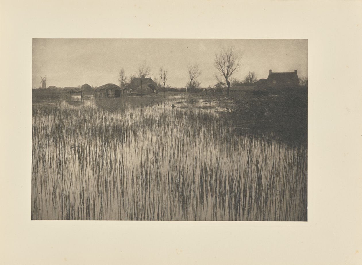 Aceleci Bir Kıyı by Peter Henry Emerson