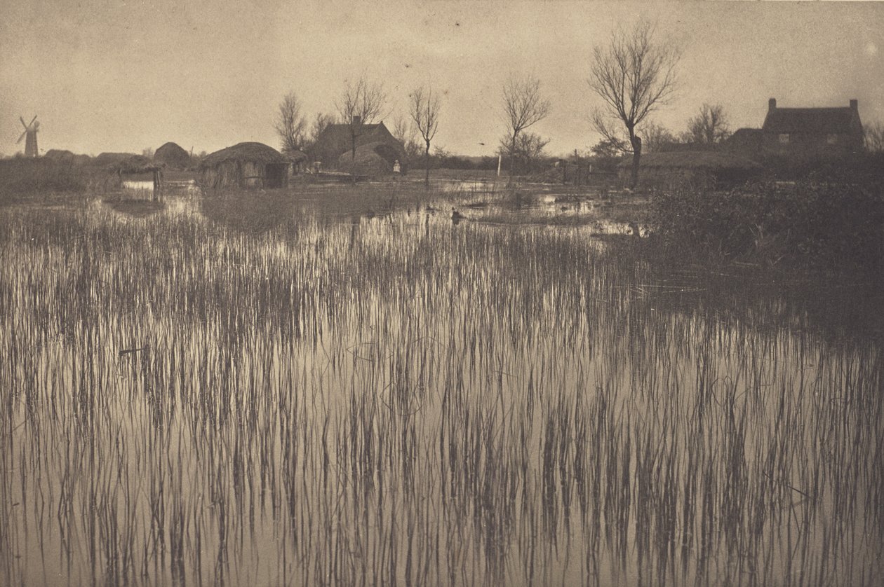 Aceleci Bir Kıyı by Peter Henry Emerson