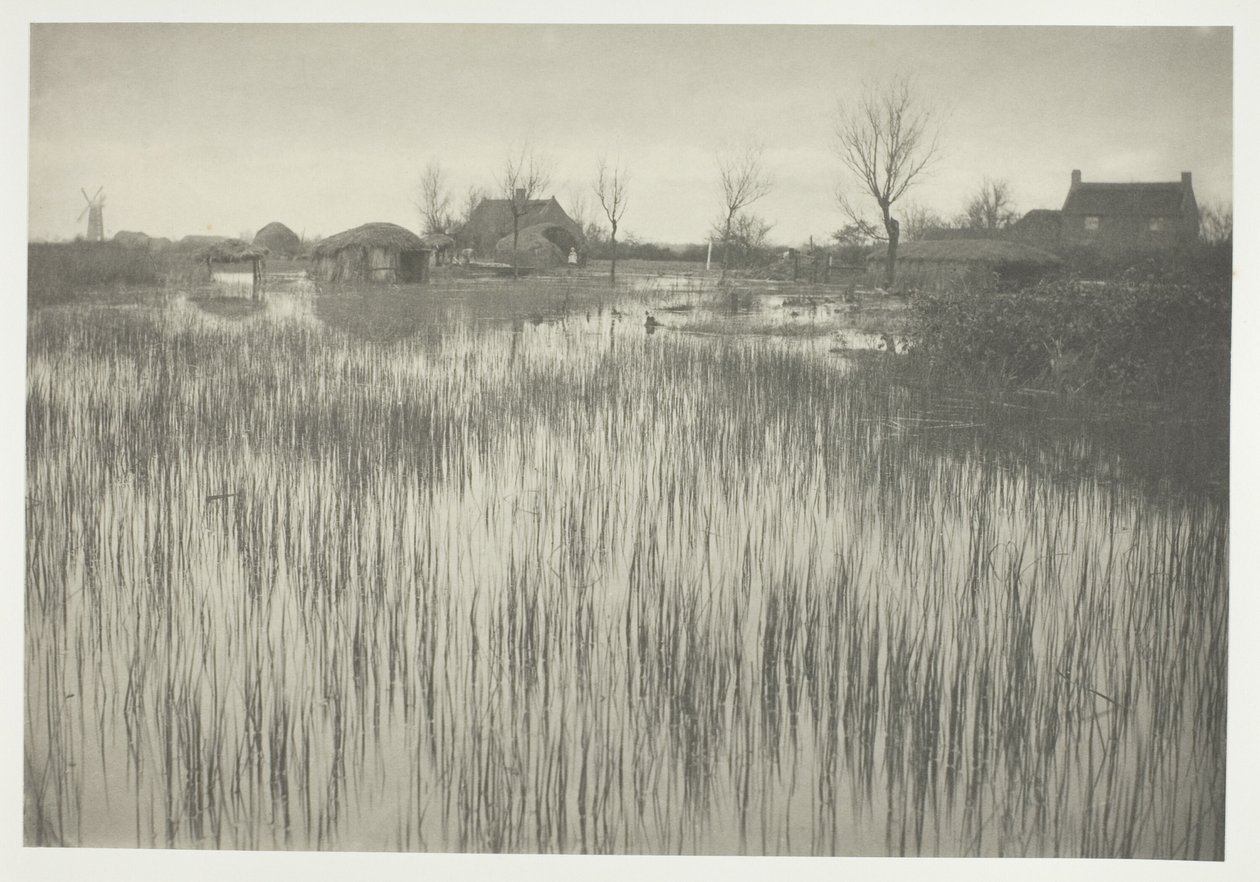 Aceleci Bir Kıyı by Peter Henry Emerson