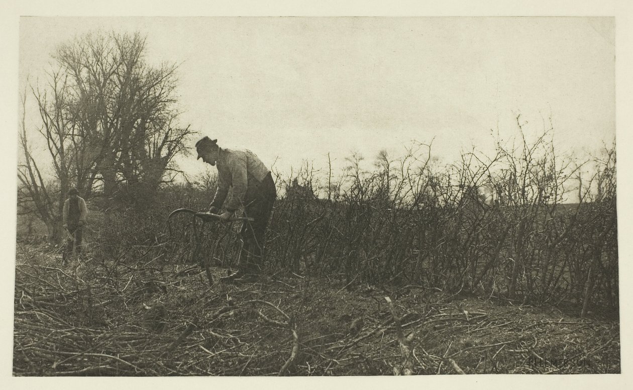 Suffolk