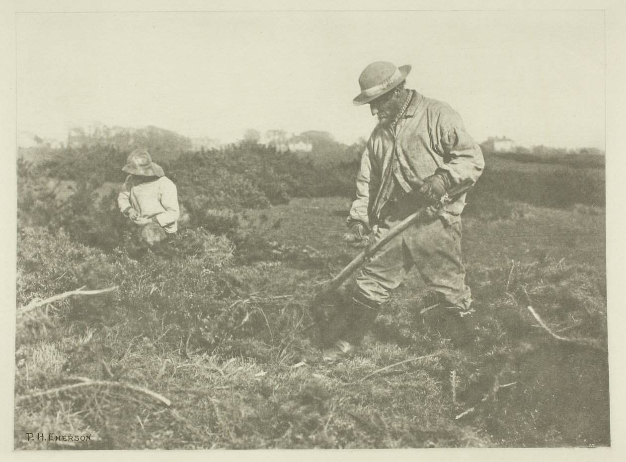 Bir Suffolk Ortak üzerinde Furze-Kesme by Peter Henry Emerson