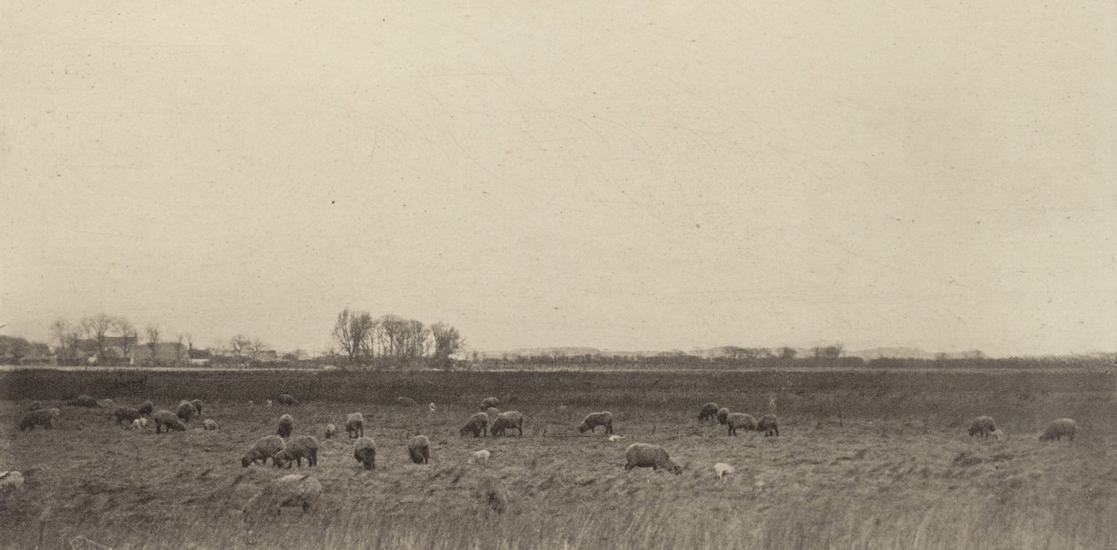 Kuzey Denizi kıyısındaki bataklıklar by Peter Henry Emerson