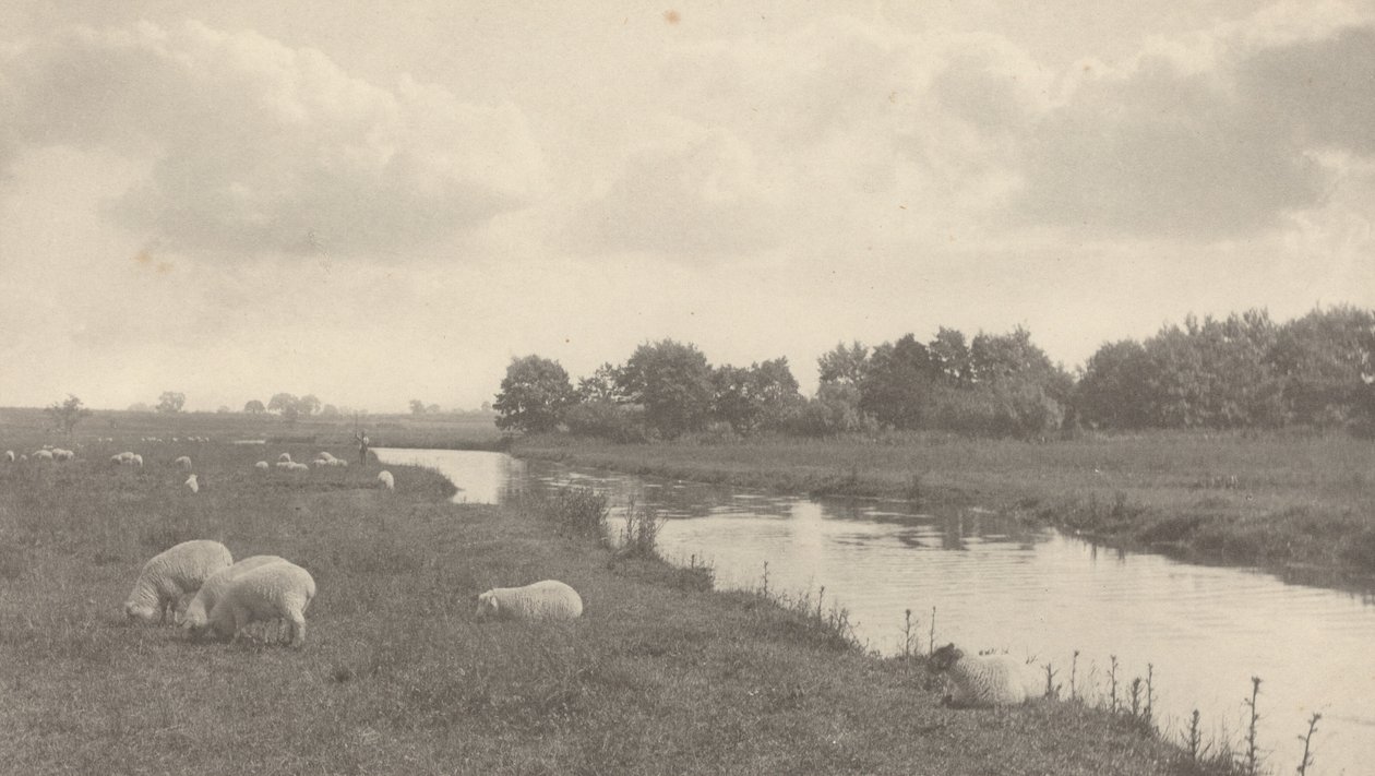Bure Nehri üzerinde by Peter Henry Emerson