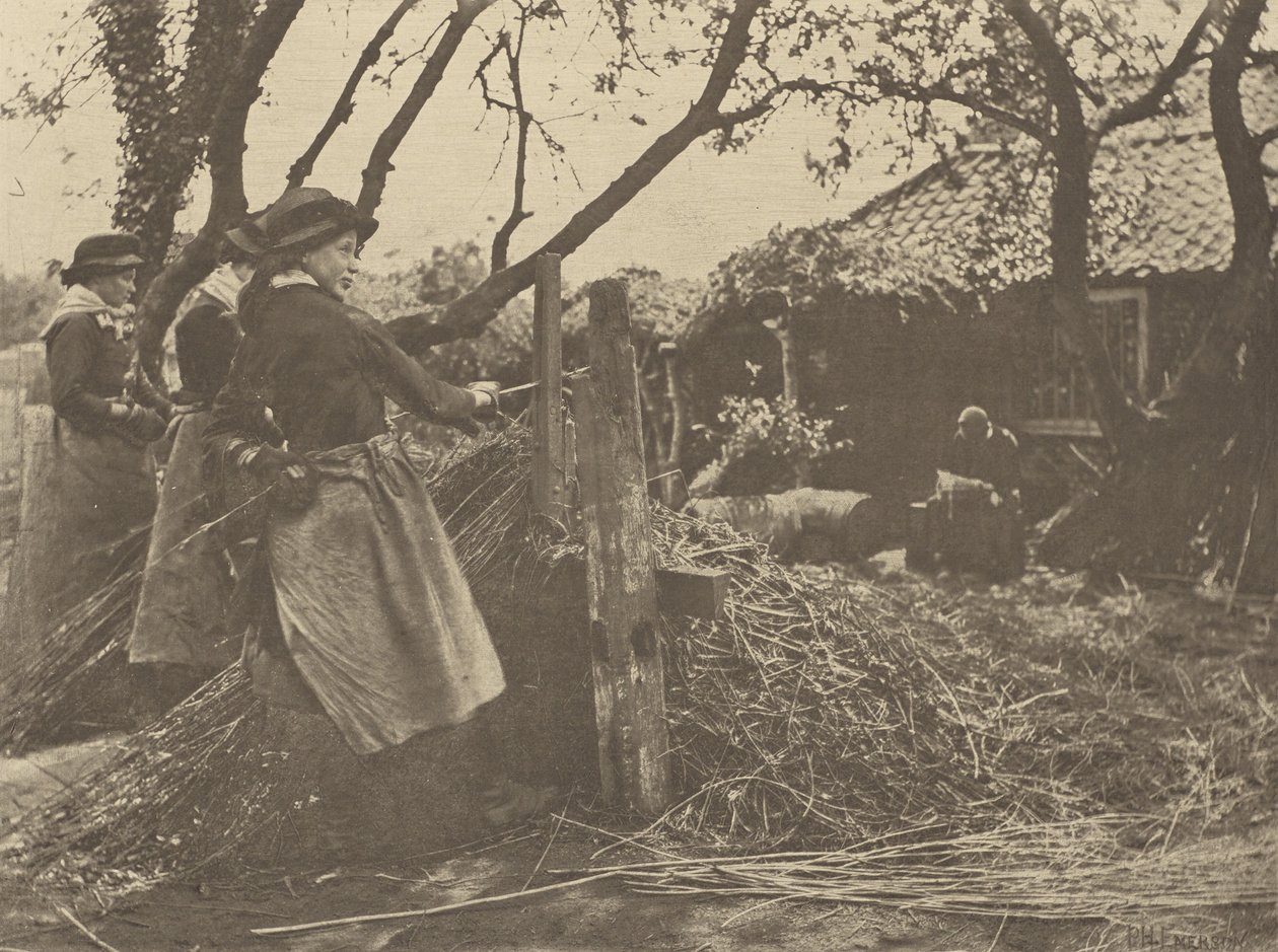 OsierPeeling. [Norfolk]]. by Peter Henry Emerson