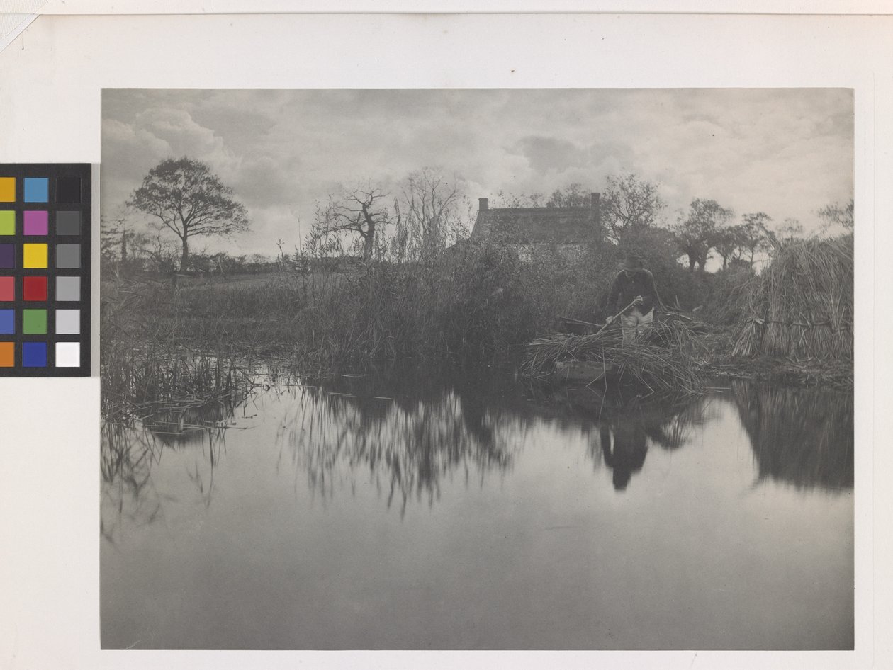 Gladdon'u Kanıtlamak (orijinal kaide üzerine platin baskı) by Peter Henry Emerson