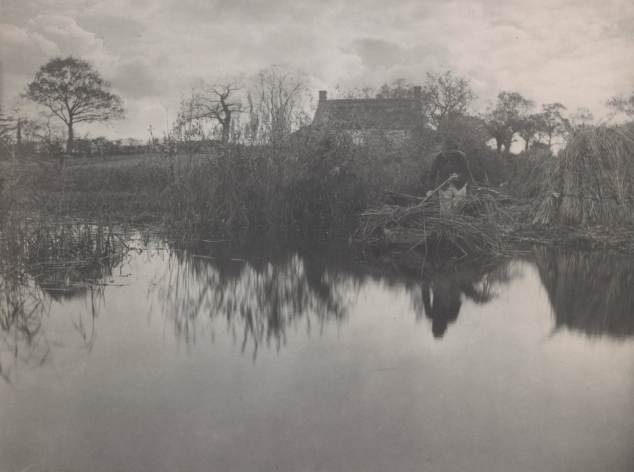 Gladdon'u ölçmek by Peter Henry Emerson