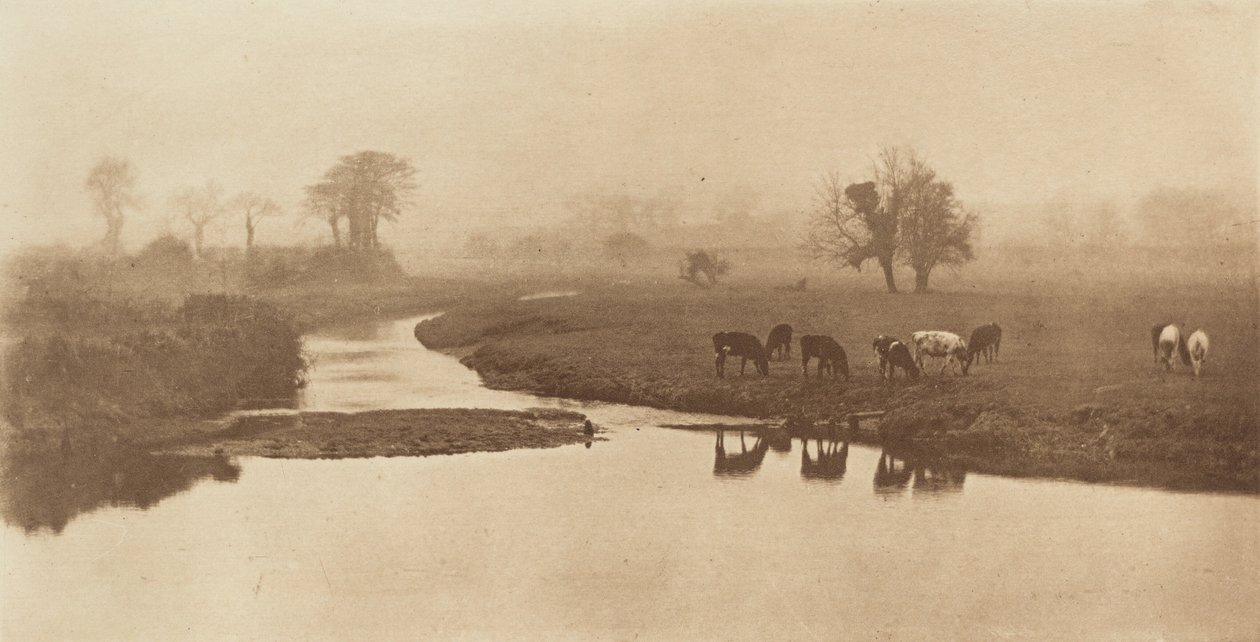 Bataklıklarda Koyun [Sığırlarla Peyzaj] by Peter Henry Emerson