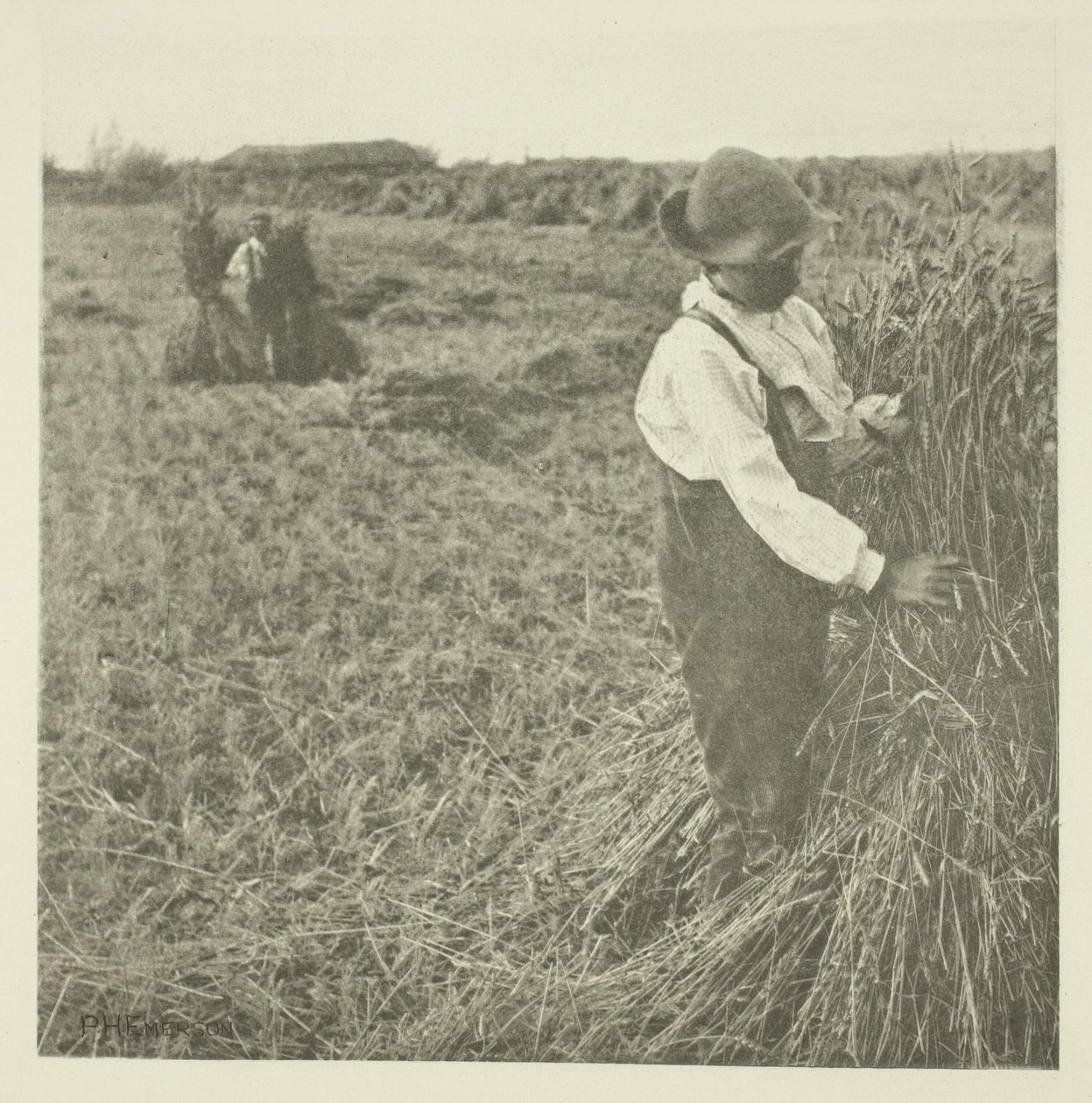 Şok Mısır (Norfolk) by Peter Henry Emerson