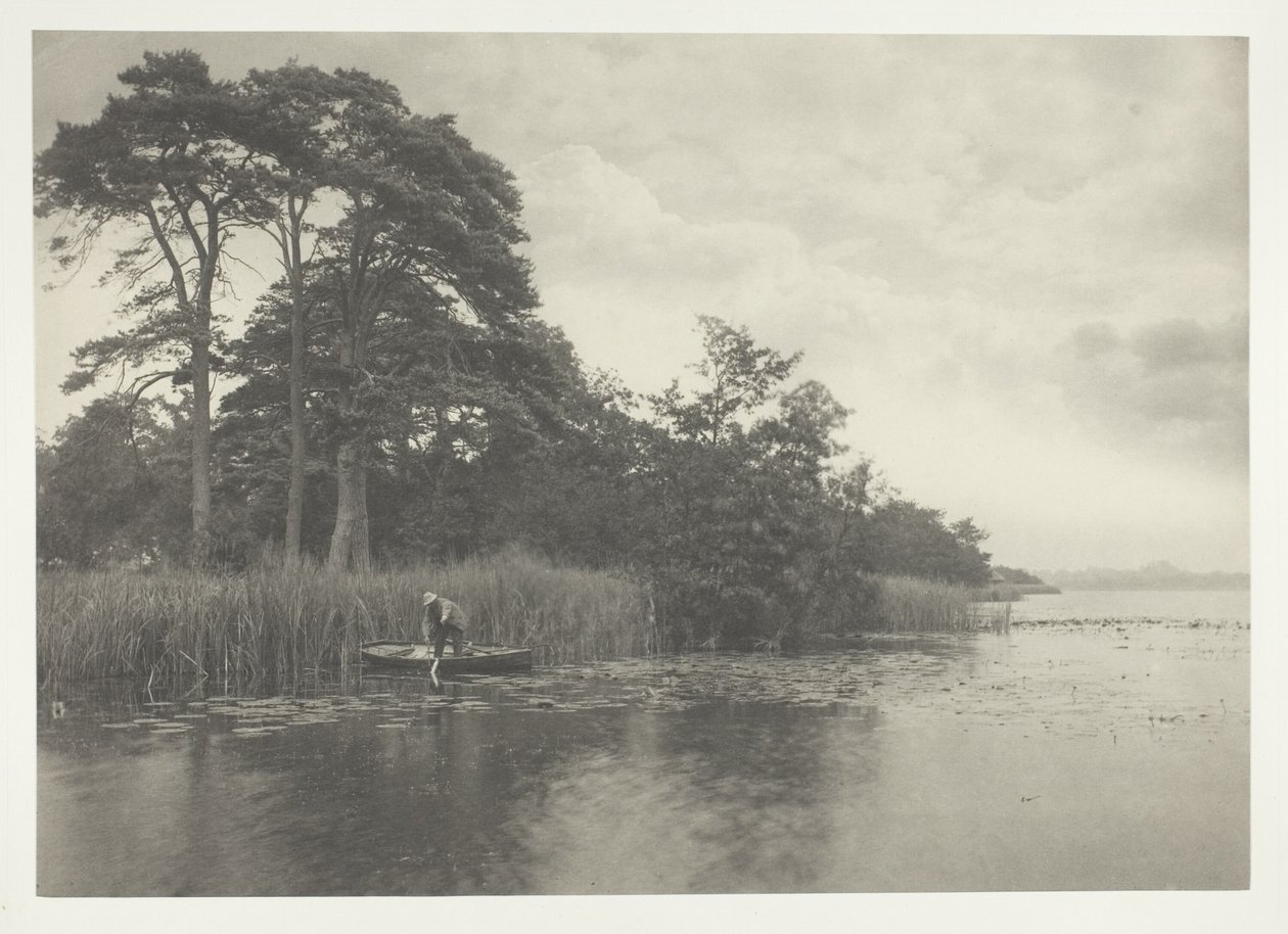 Pike