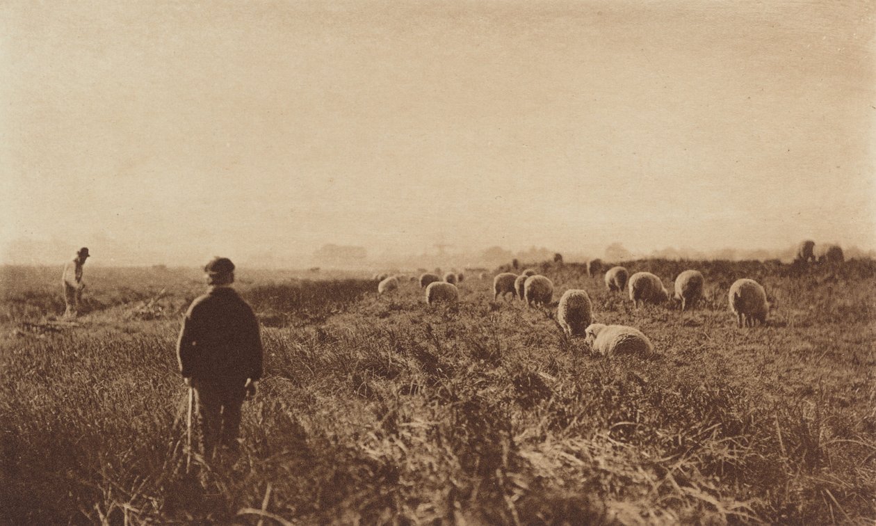 Haziran ayında Bataklıklar by Peter Henry Emerson