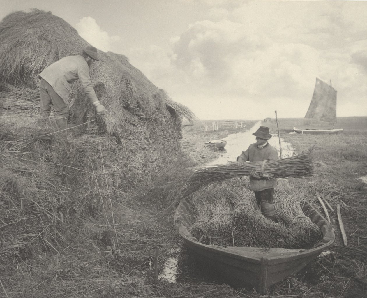resifi sallamak by Peter Henry Emerson and T.F. Goodall