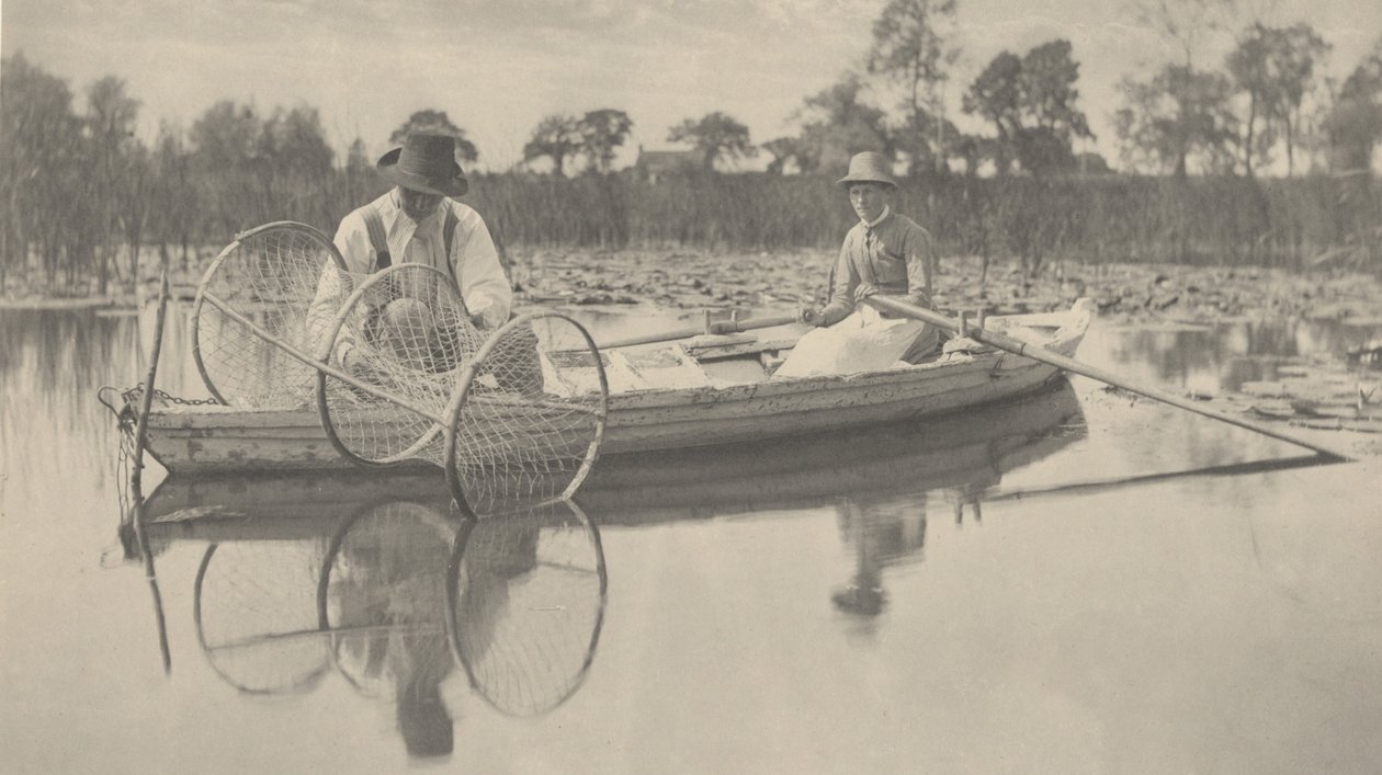 Bow-Net