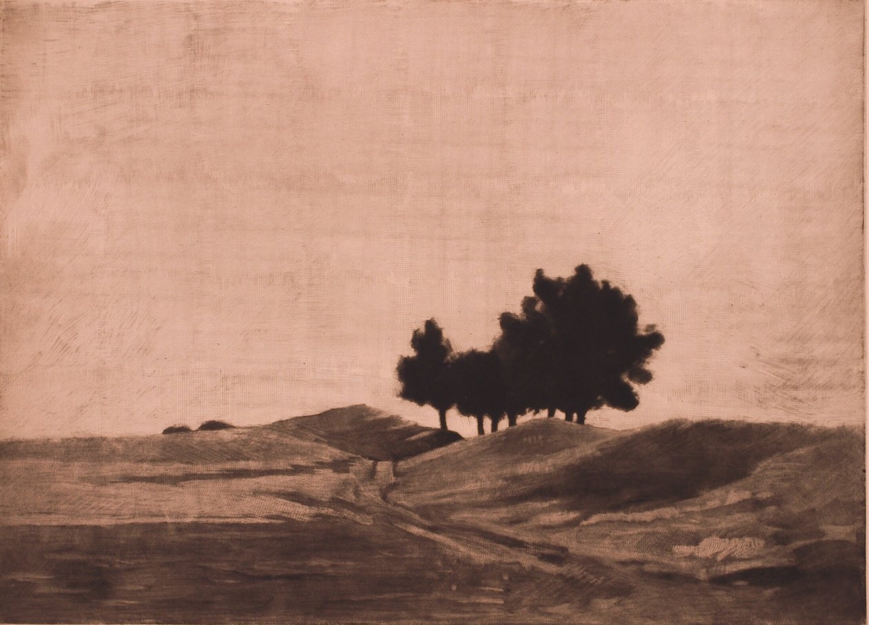 Akşam manzarası by Peter Vilhelm Ilsted