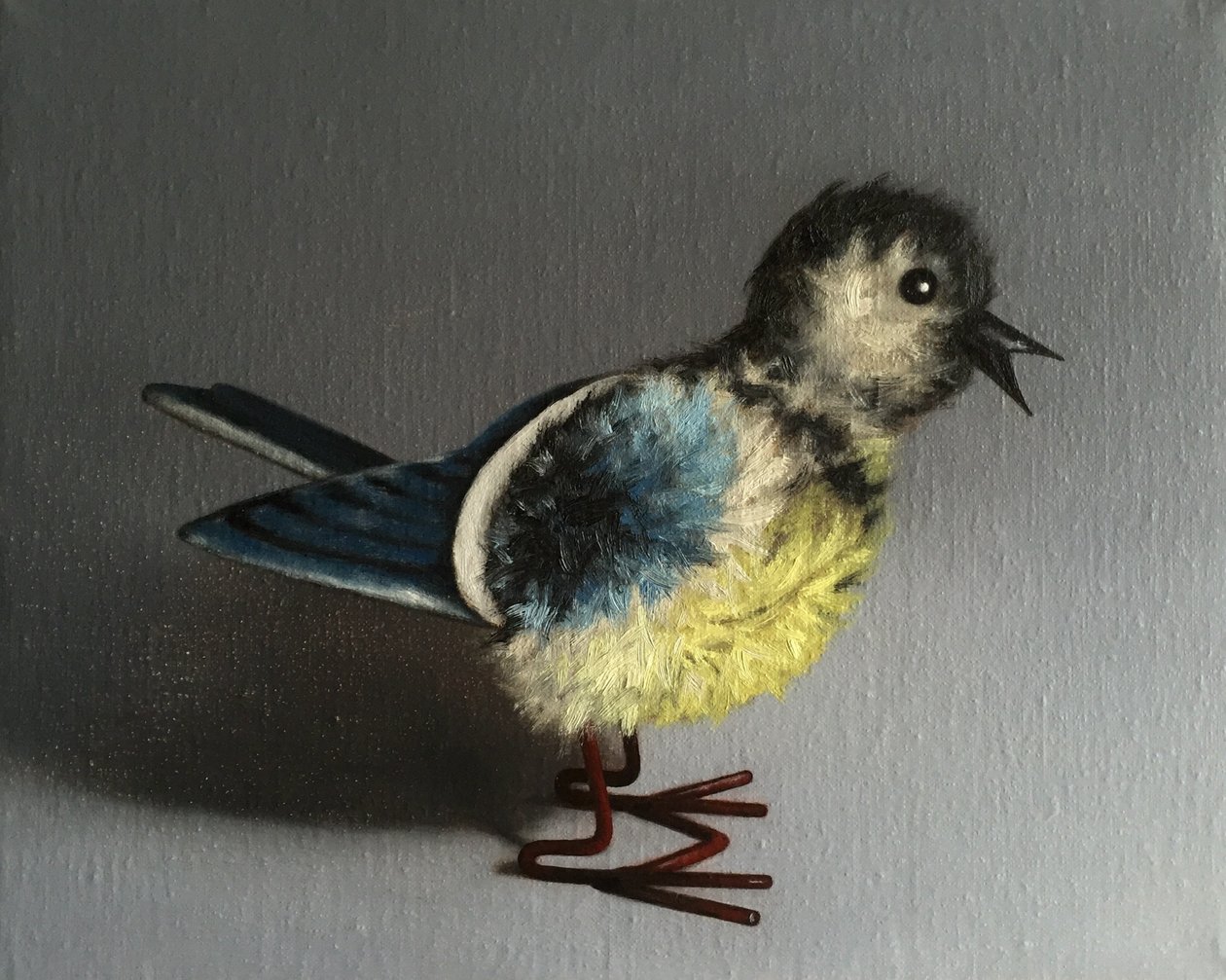 mavi baştankara, 2016 by Peter Jones