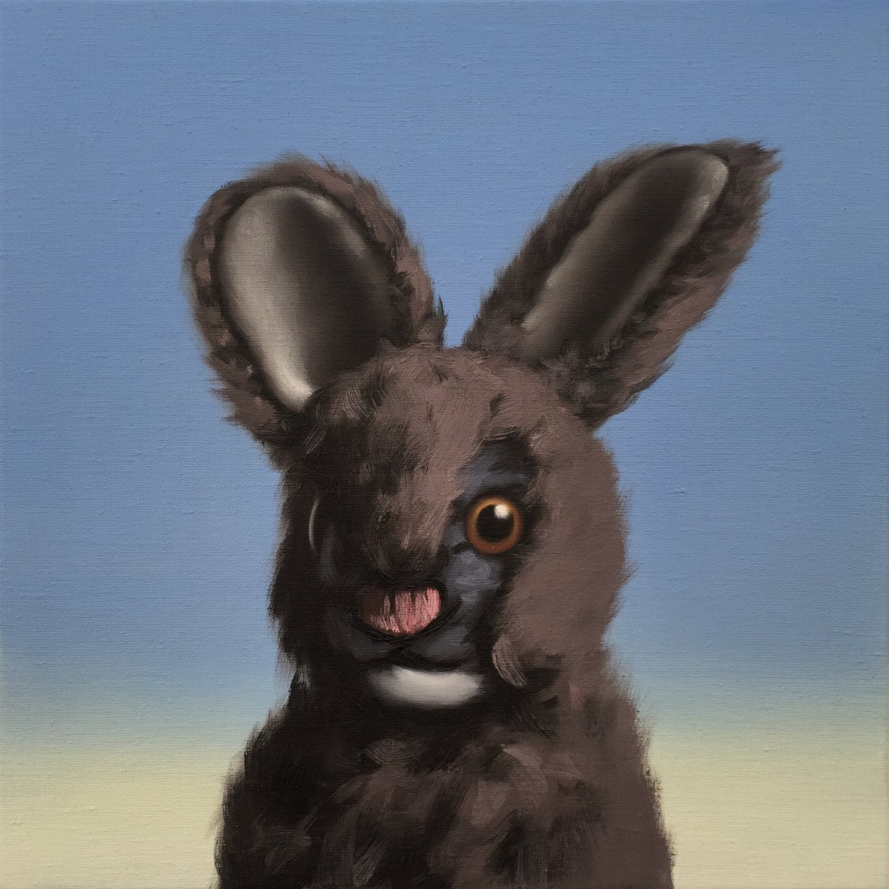 tavşan, 2017 by Peter Jones