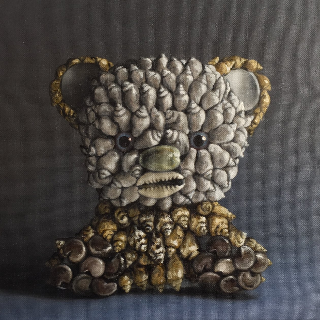 Boz Ayı, 2013 by Peter Jones