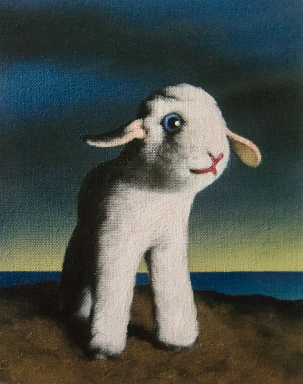 Kuzu, 2009 by Peter Jones