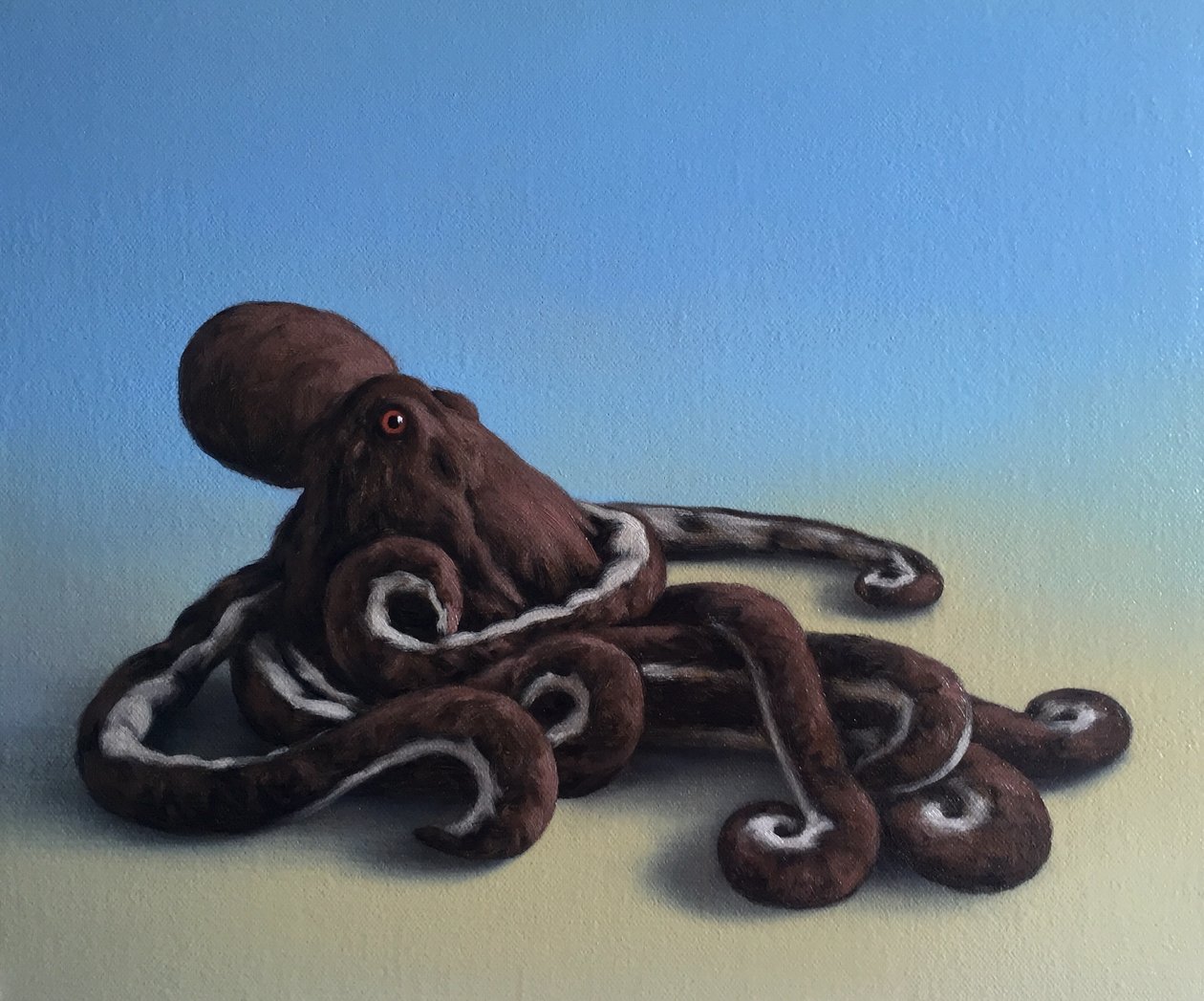 Ahtapot, 2016 by Peter Jones