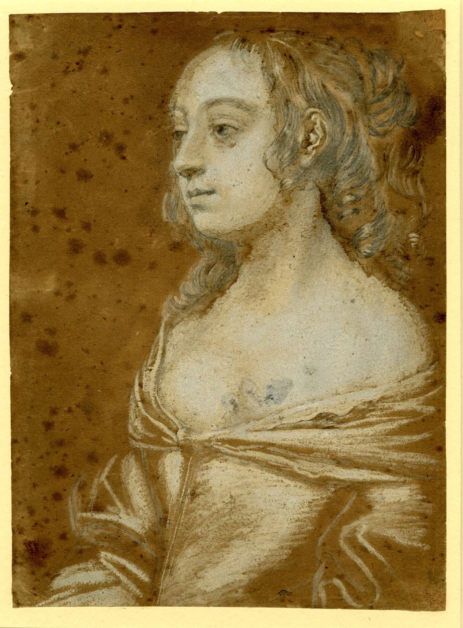 Bir Hanımefendinin Portresi












 saçları yarım boyda lüle lüle by Peter Lely