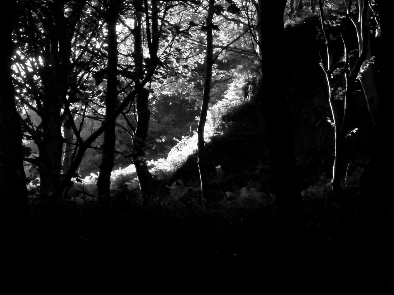 KINTYRE... ARTI. 17 by Peter McClure