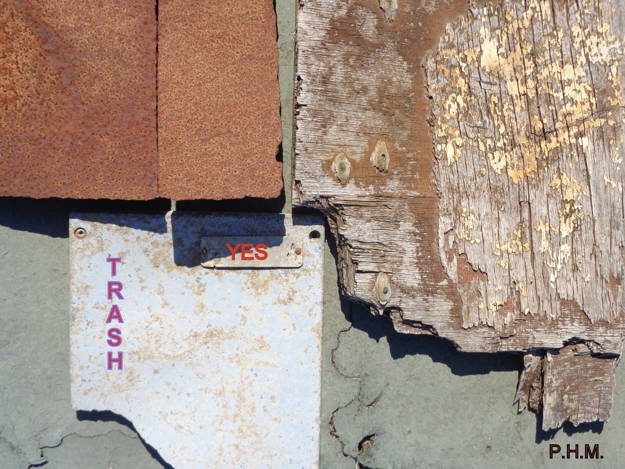 EVET... TRASH ART.2020 by Peter McClure