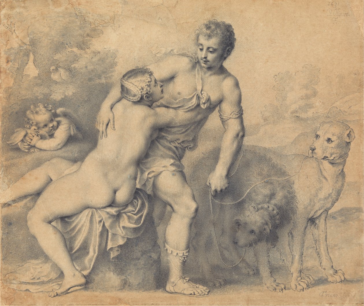 Venüs ve Adonis by Peter Oliver