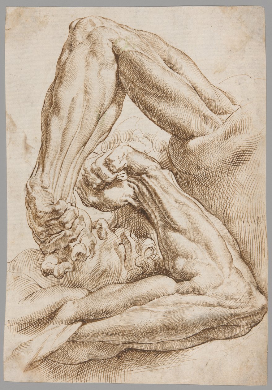 Anatomik Çalışmalar Sayfası by Peter Paul Rubens