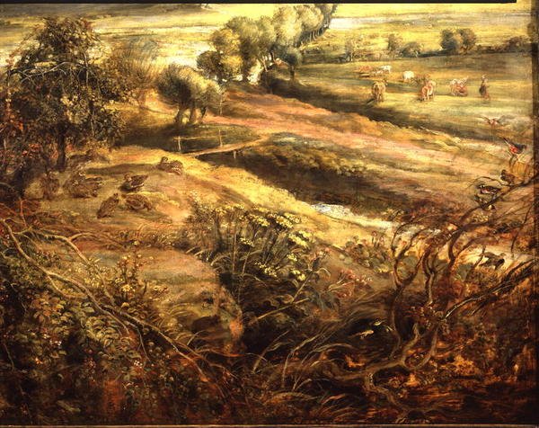 Sabah Erken Het Steen manzaralı bir Sonbahar Manzarası, c.1636 (panelde yağlı boya) (detay 211075) by Peter Paul Rubens