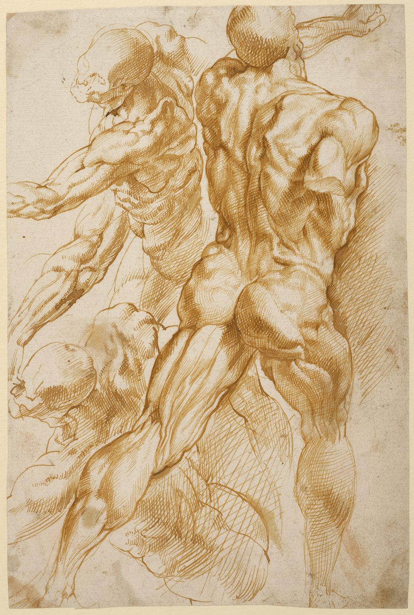  by Peter Paul Rubens