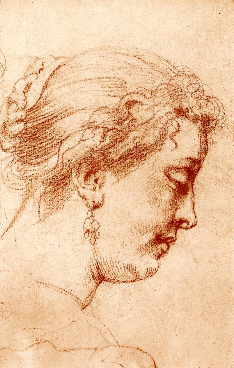 kadın profil kafa by Peter Paul Rubens