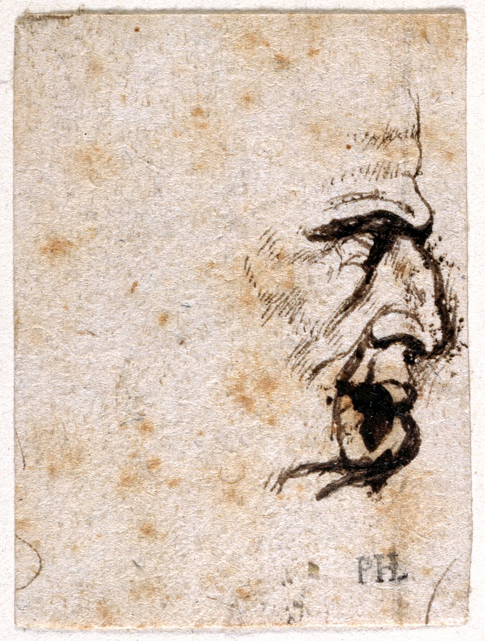 Galba, Giovanni da Cavino