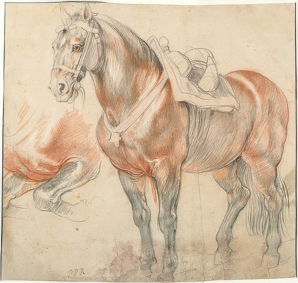 Eyerli at. 1615-18 civarında by Peter Paul Rubens