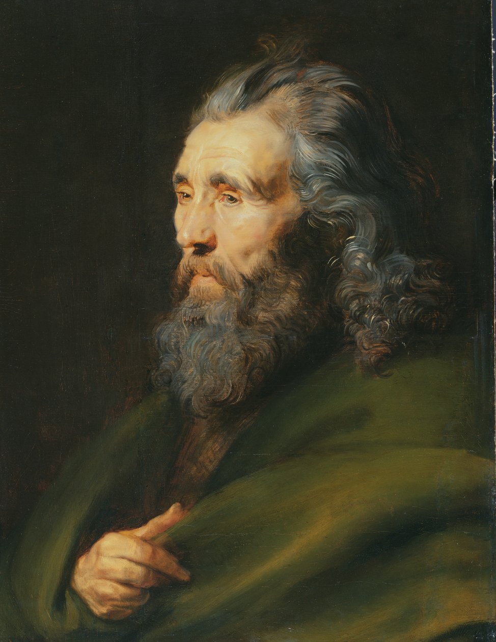 Sakallı Bir Adamın Baş İncelemesi, c.1617 by Peter Paul Rubens