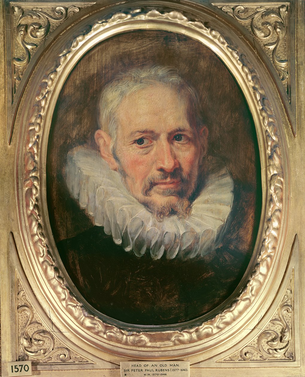 Yaşlı Bir Adamın Başı (tuval üzerine yağlı boya) by Peter Paul Rubens