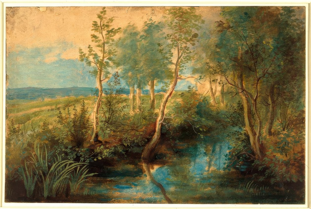 Ağaçlarla sarkan dere ile manzara by Peter Paul Rubens