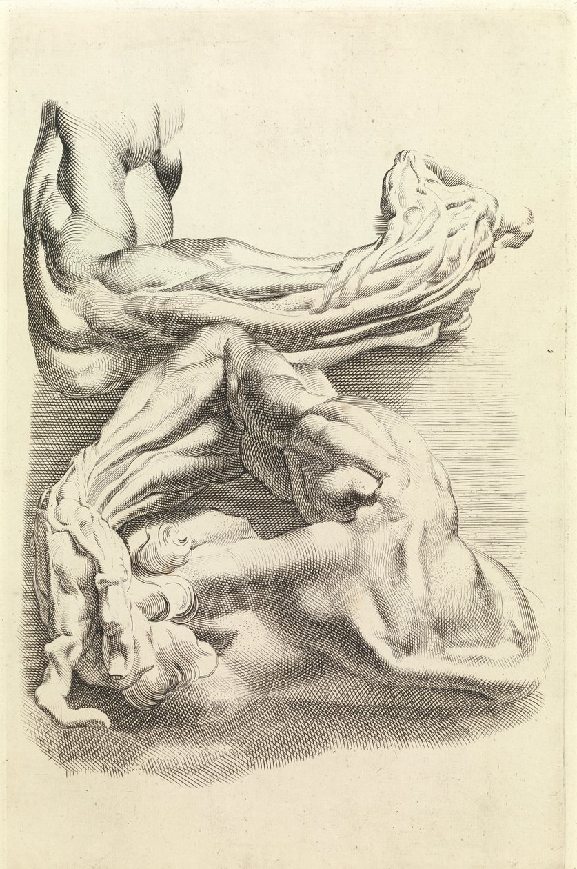 Kaslar (gravür) by Peter Paul Rubens